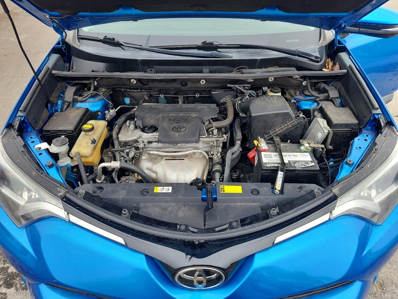 2017 TOYOTA RAV4 XLE photo 12