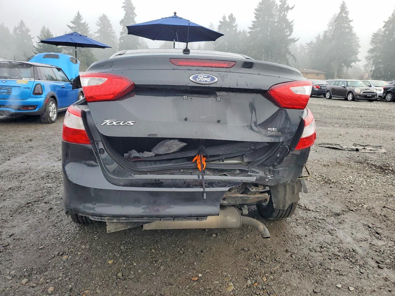 2014 FORD FOCUS SE photo 6
