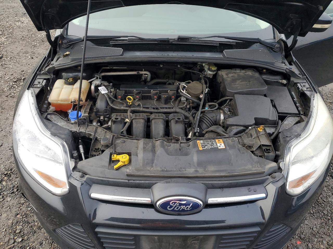 2014 FORD FOCUS SE photo 11