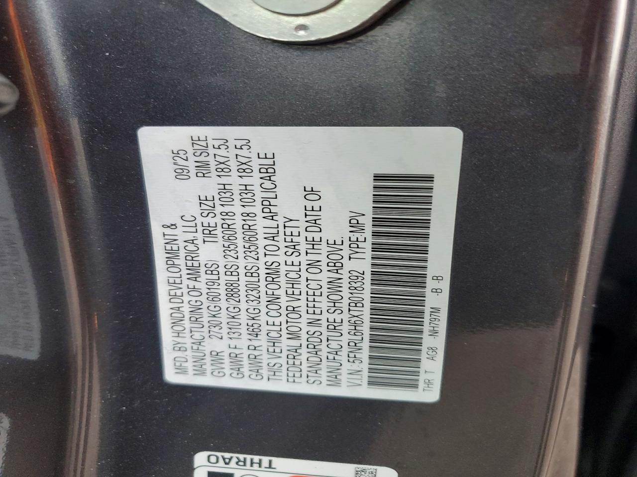 2026 HONDA ODYSSEY EXL photo 13