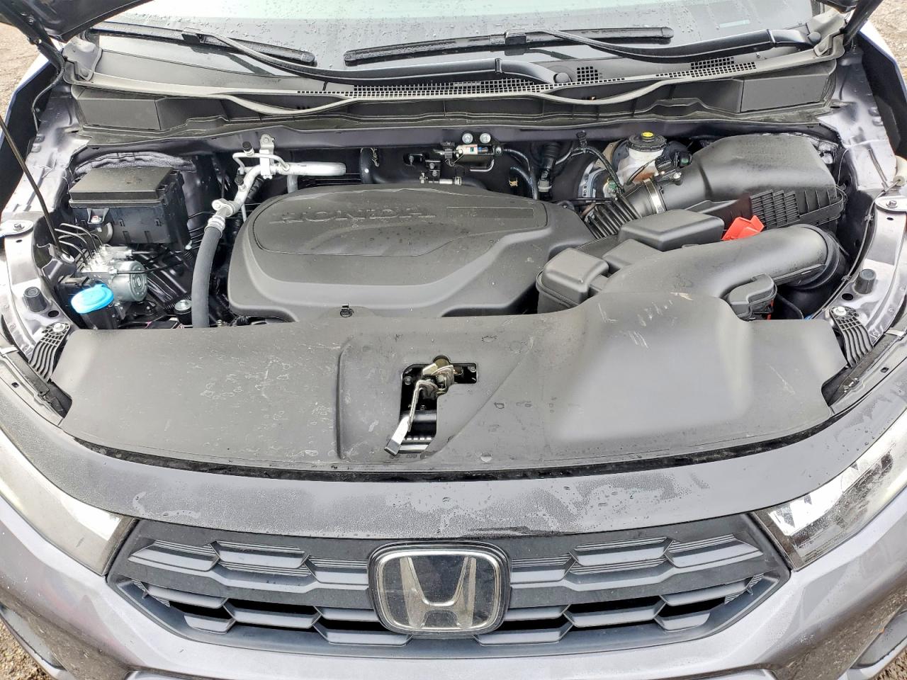 2026 HONDA ODYSSEY EXL photo 12
