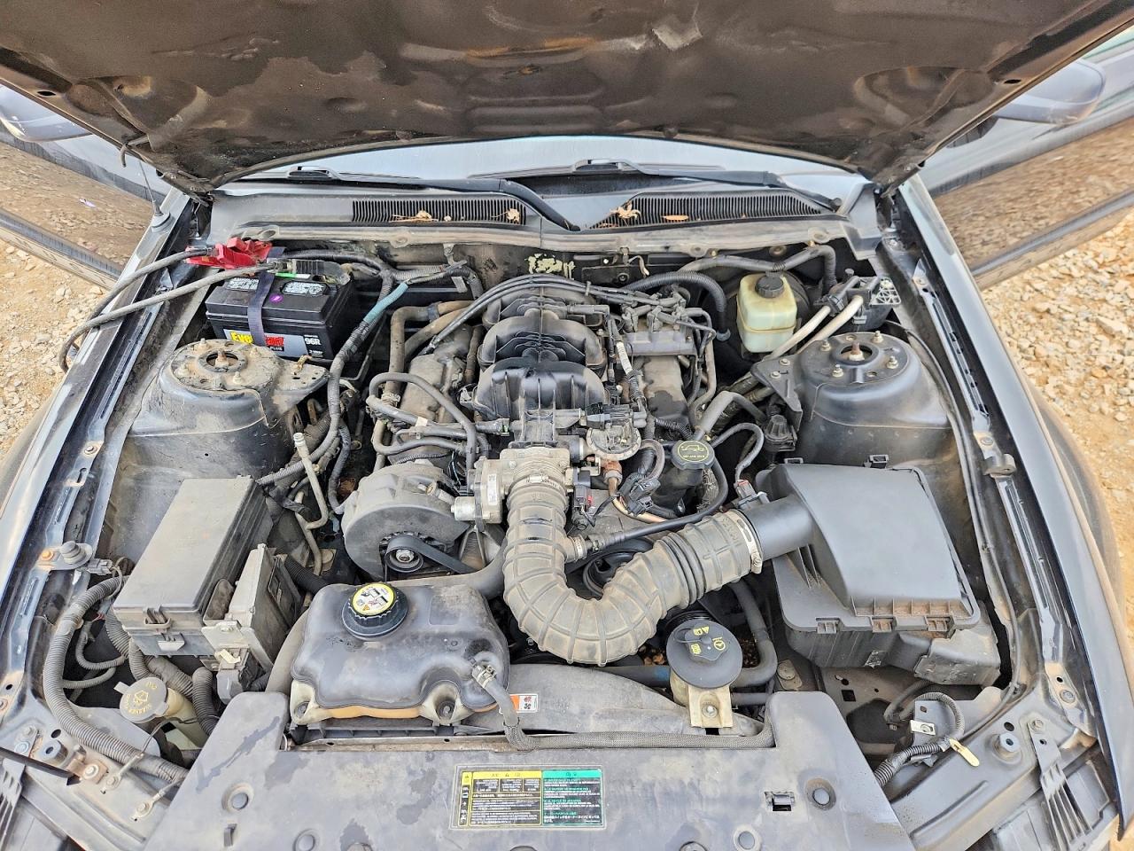 2005 FORD MUSTANG photo 11