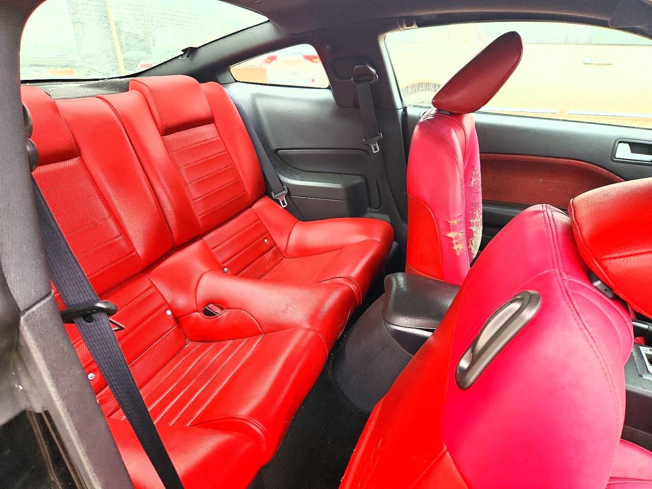 2005 FORD MUSTANG photo 10