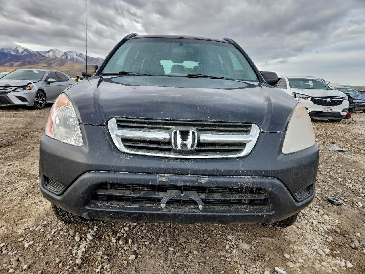 2004 HONDA CR-V LX photo 5