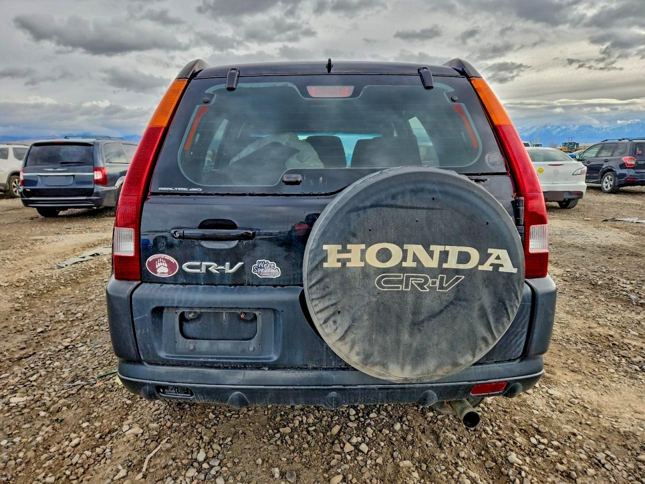 2004 HONDA CR-V LX photo 6