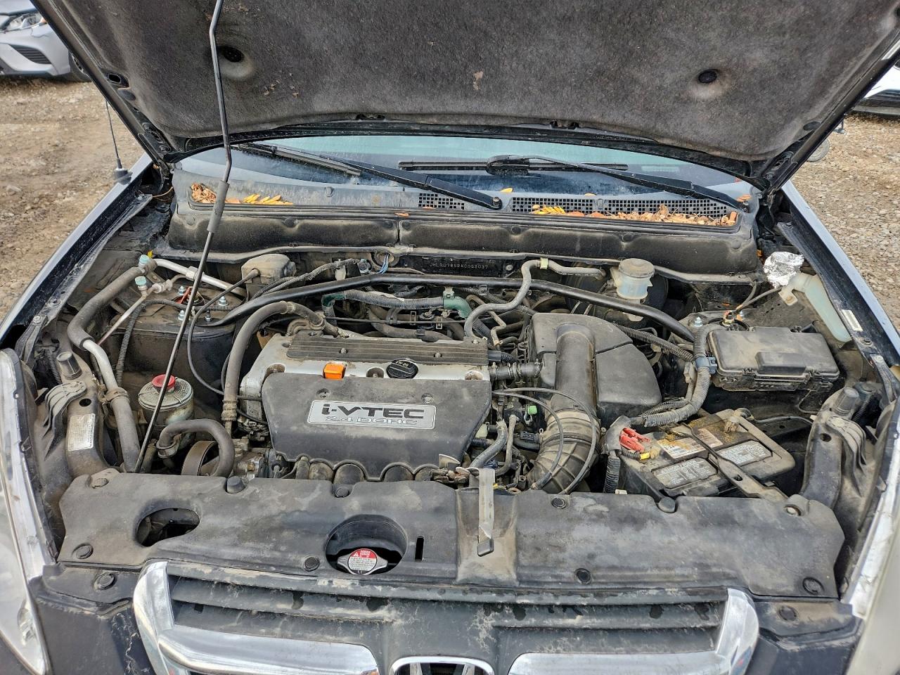 2004 HONDA CR-V LX photo 11