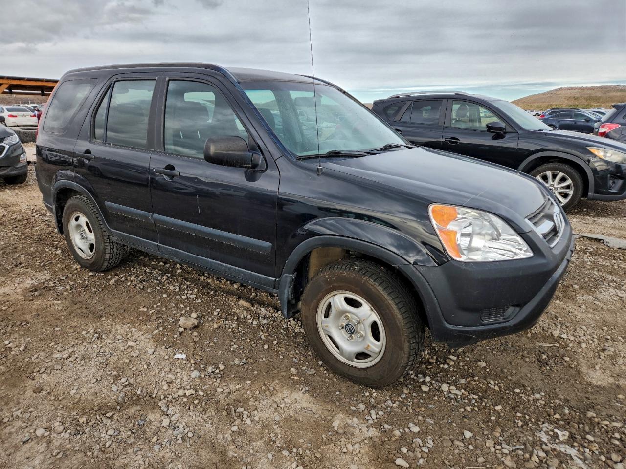 2004 HONDA CR-V LX photo 4