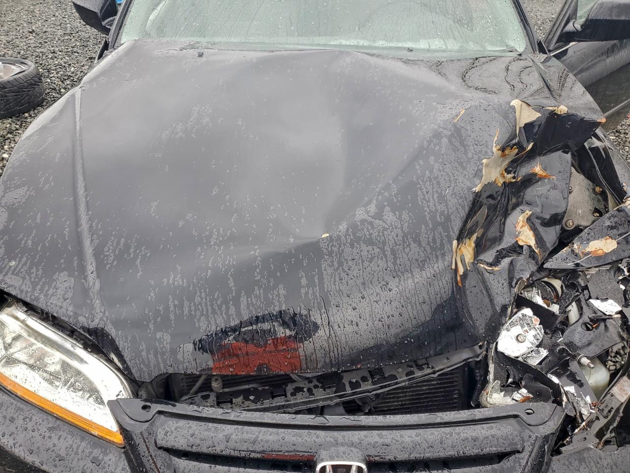 2002 HONDA ACCORD SE photo 11