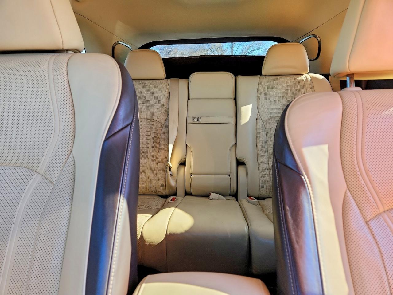2017 LEXUS RX photo 10
