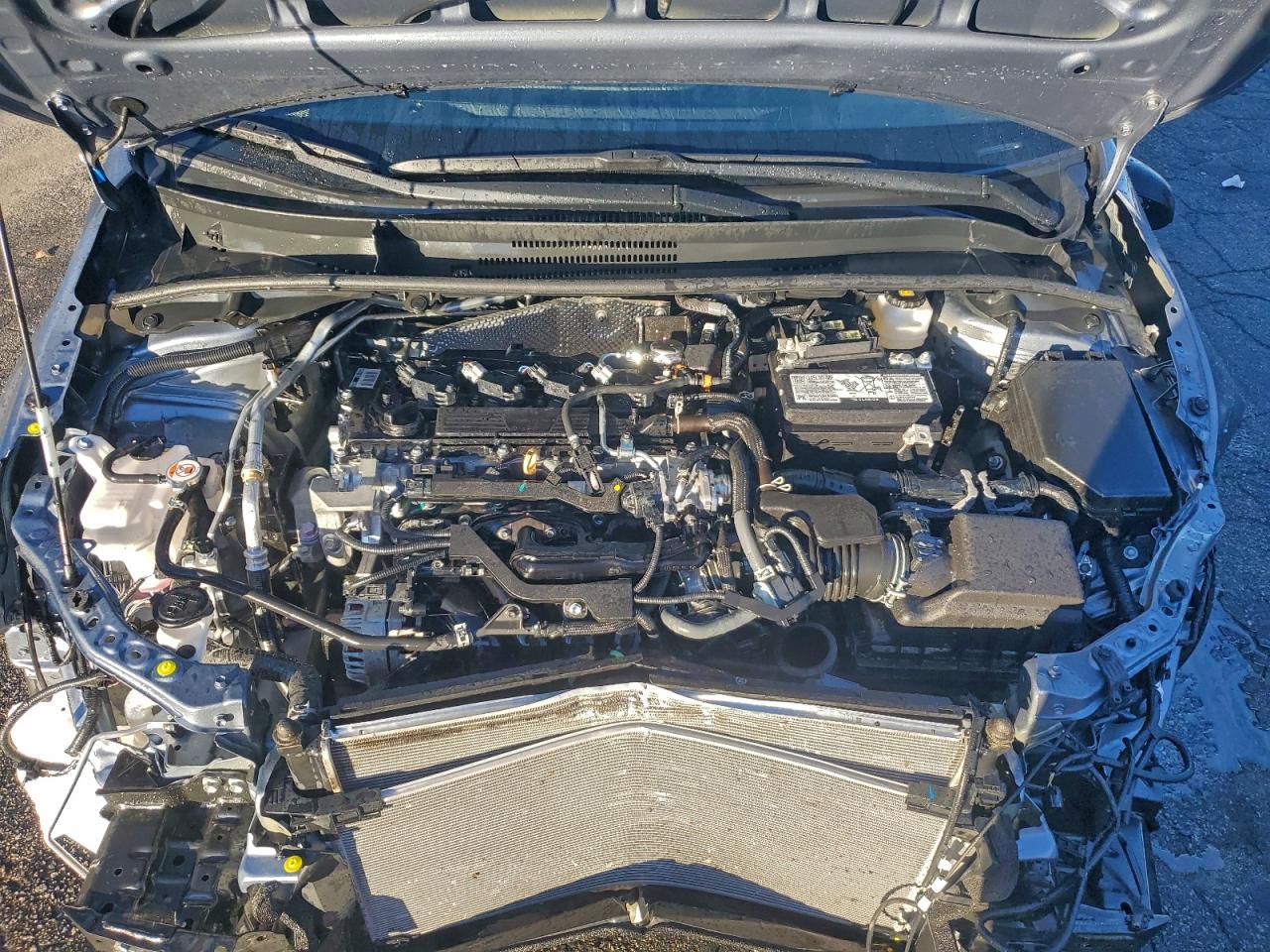2025 TOYOTA COROLLA LE photo 11