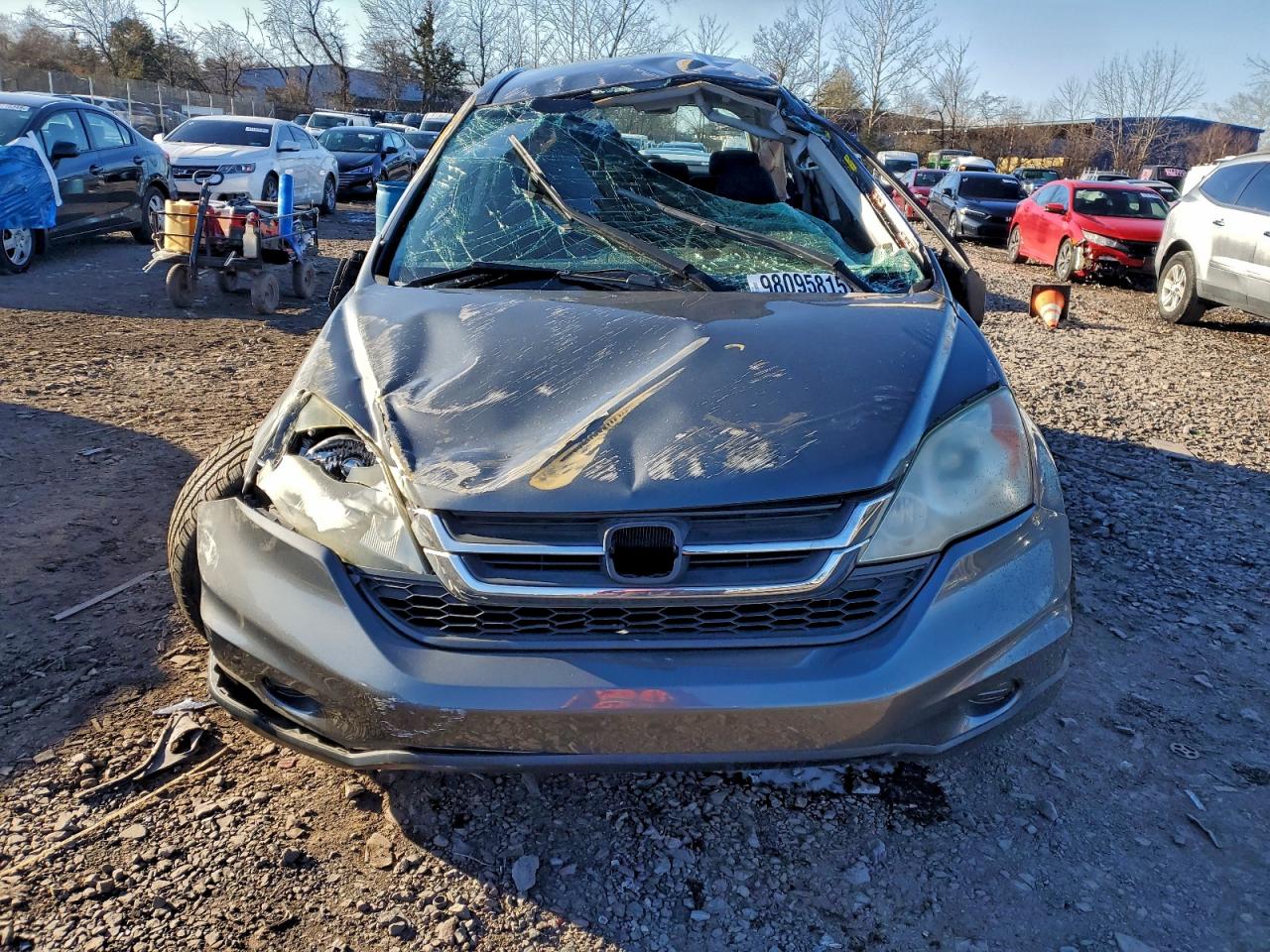 2010 HONDA CR-V LX photo 5