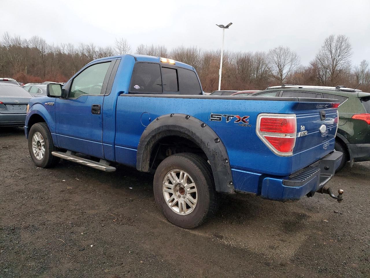 2009 FORD F150 photo 2