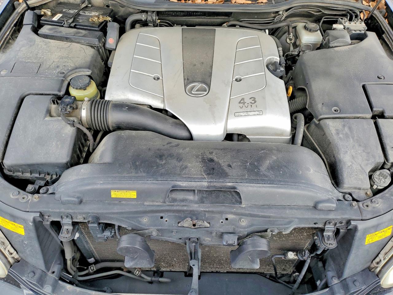 2004 LEXUS LS 430 photo 11