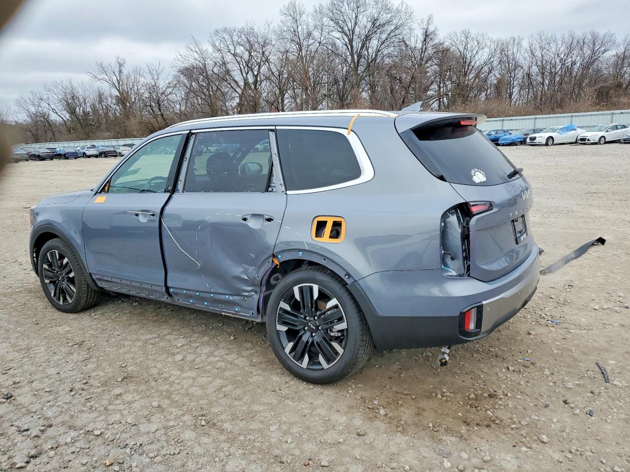2025 KIA TELLURIDE SX photo 2