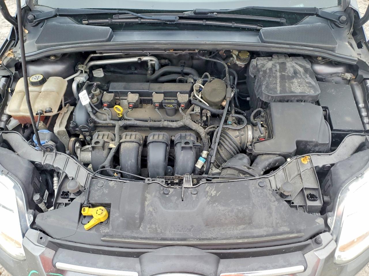 2013 FORD FOCUS SE photo 11