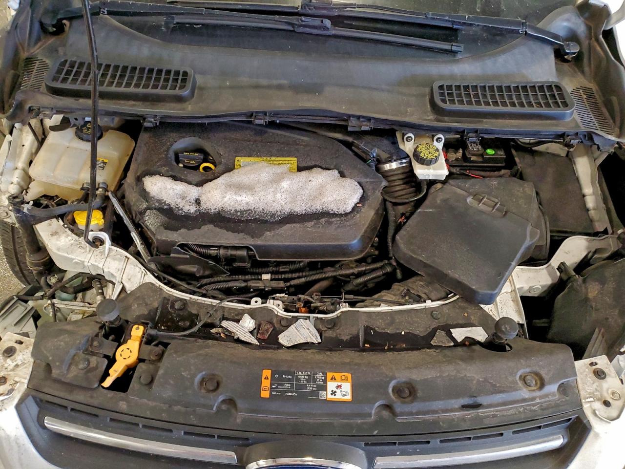 2013 FORD ESCAPE SE photo 12