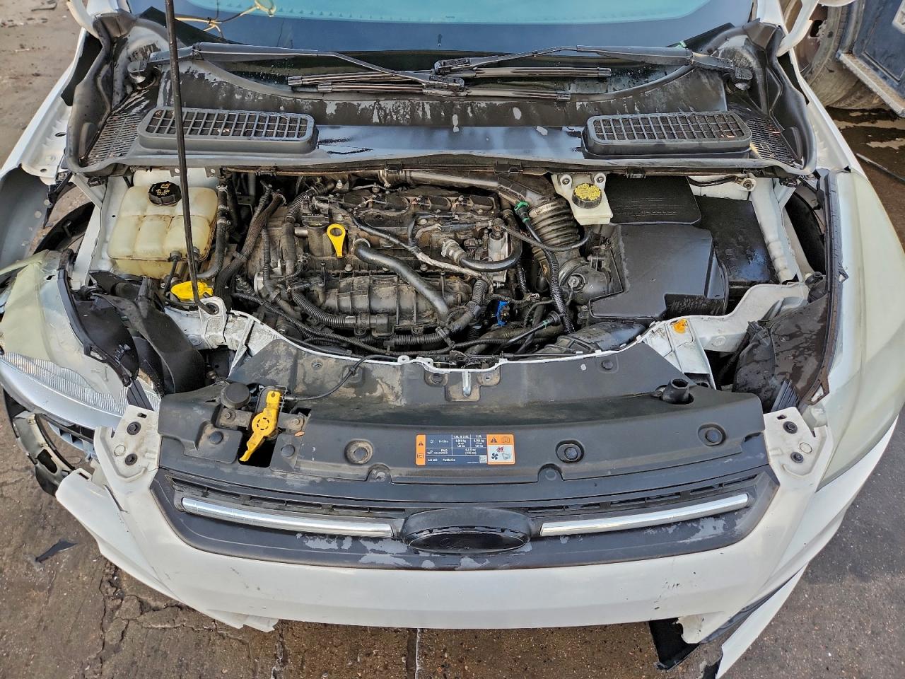 2014 FORD ESCAPE SE photo 12