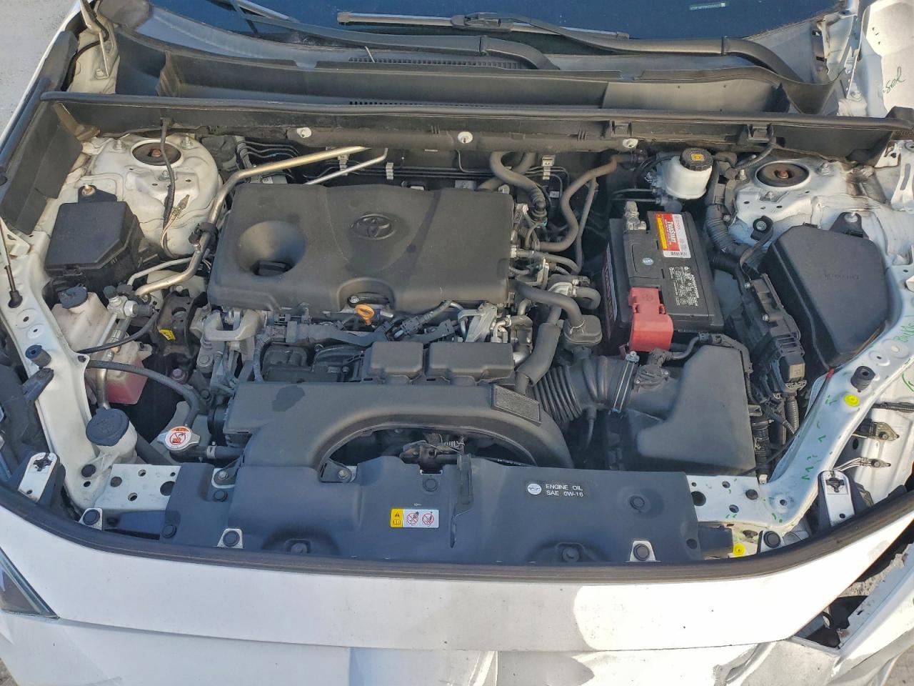 2019 TOYOTA RAV4 XLE photo 12