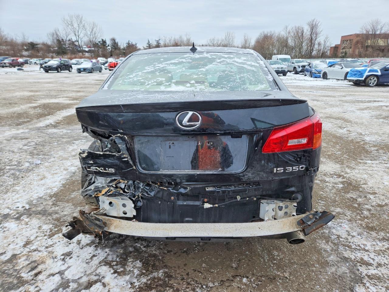 2007 LEXUS IS 350 photo 6