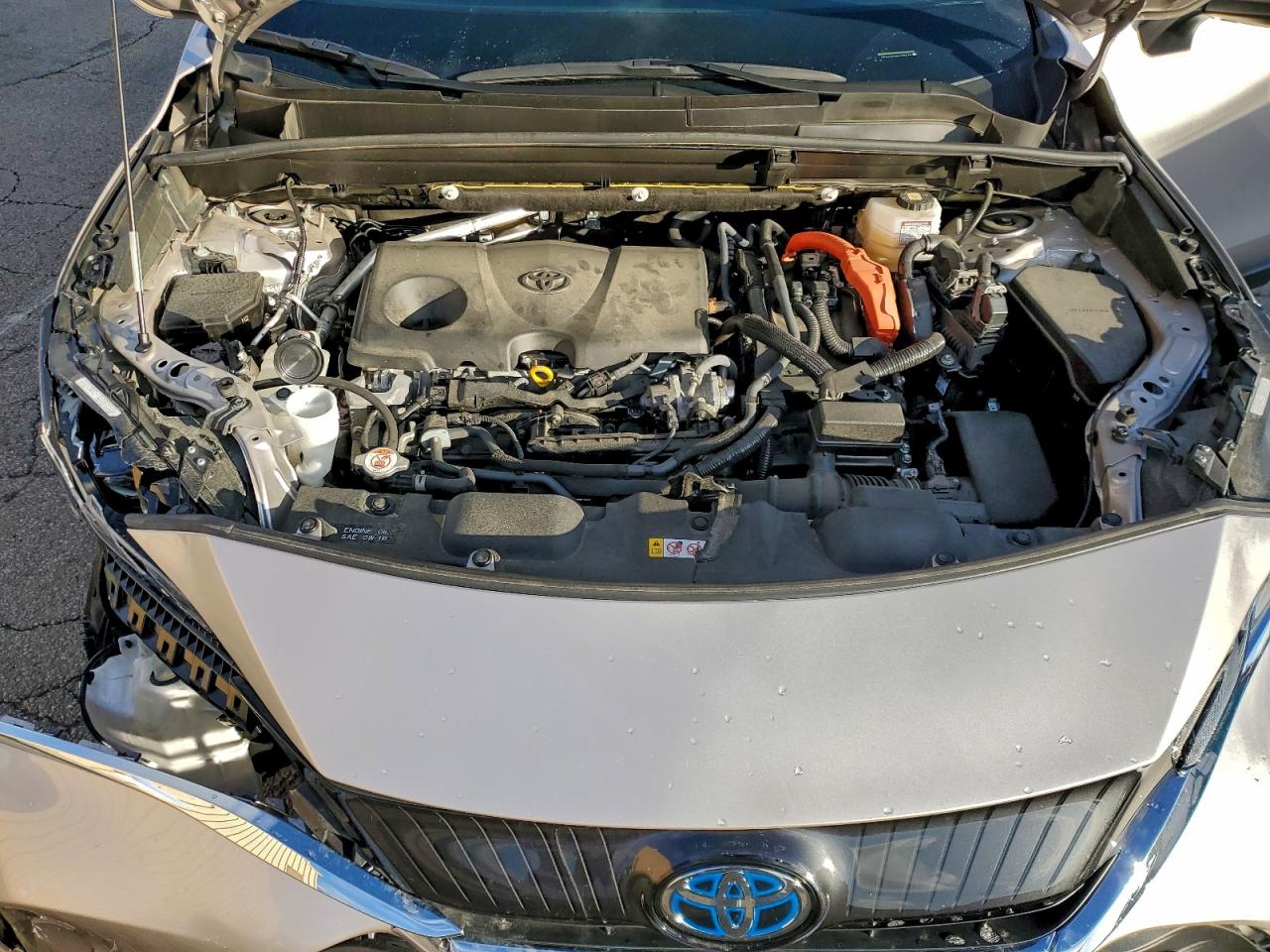 2023 TOYOTA VENZA LE photo 12