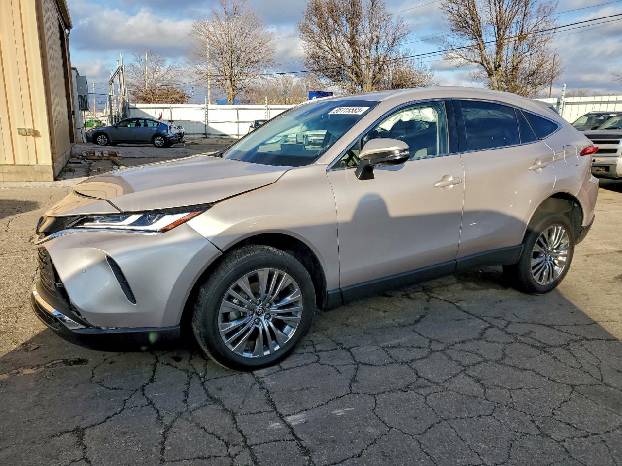 2023 TOYOTA VENZA
