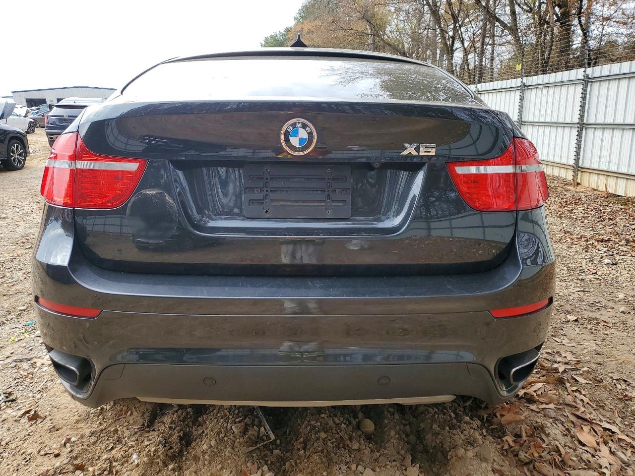 2011 BMW X6 XDRIVE50I photo 6