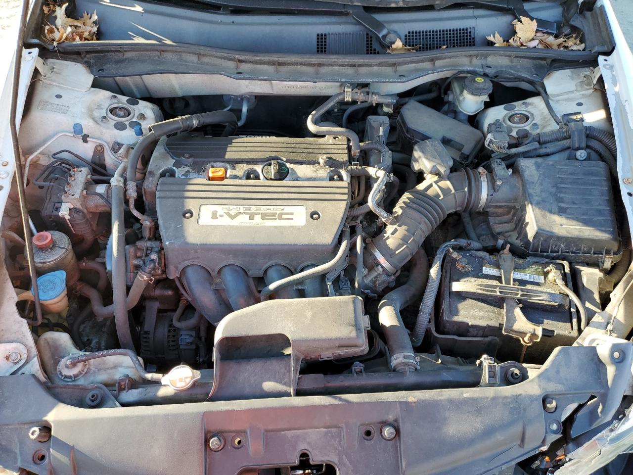 2009 HONDA ACCORD LXP photo 11