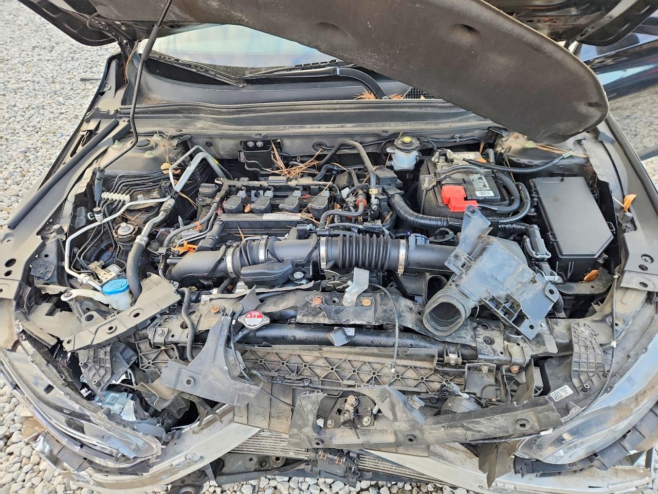 2020 HONDA ACCORD LX photo 11