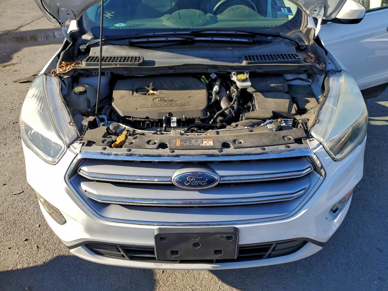 2017 FORD ESCAPE SE photo 11