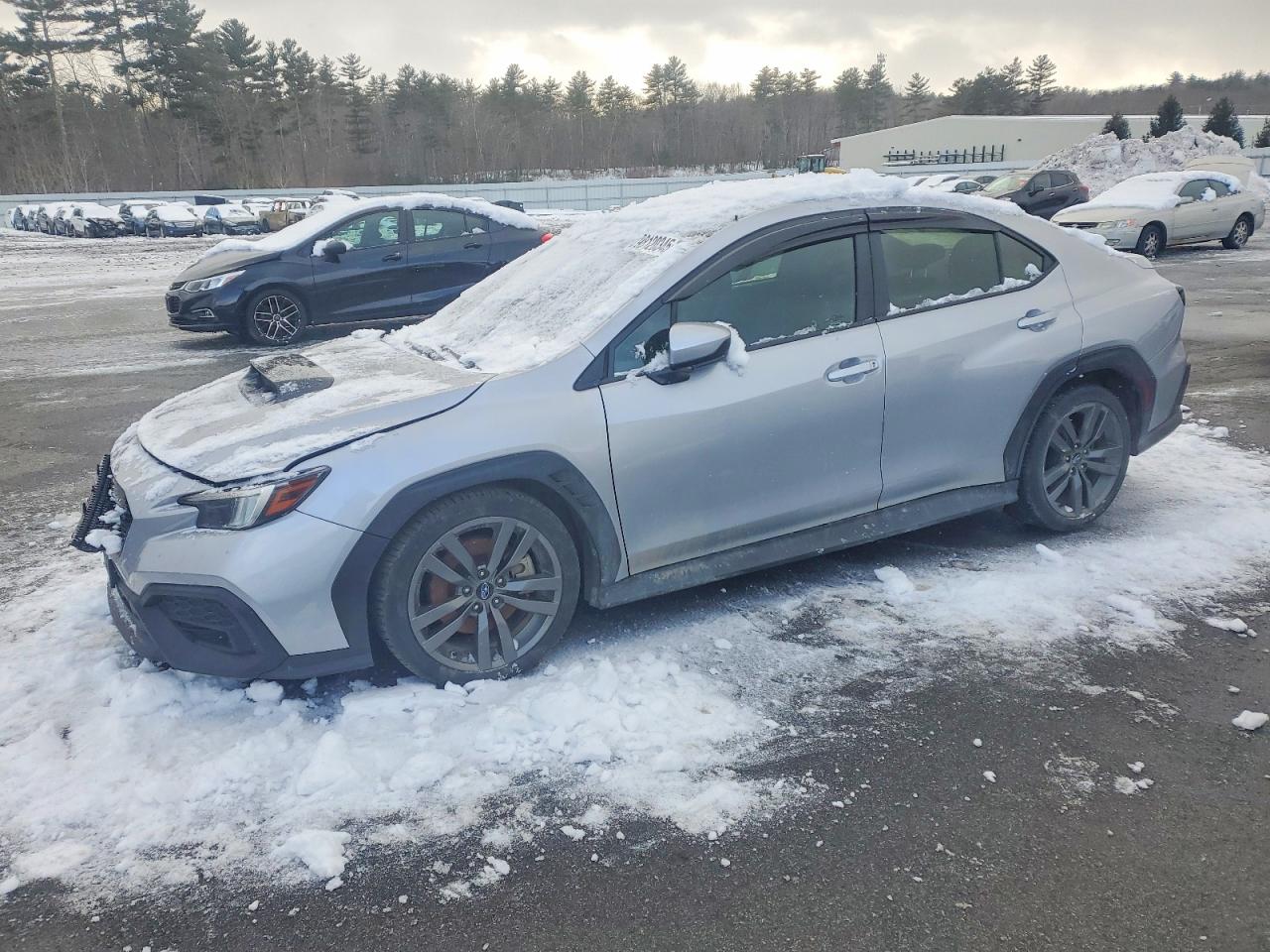 2023 SUBARU WRX