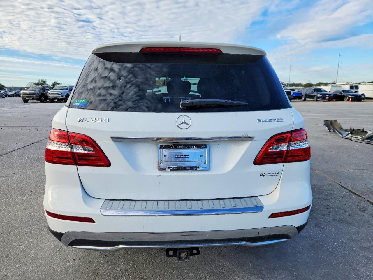 2015 MERCEDES-BENZ ML 250 BLUETEC photo 6