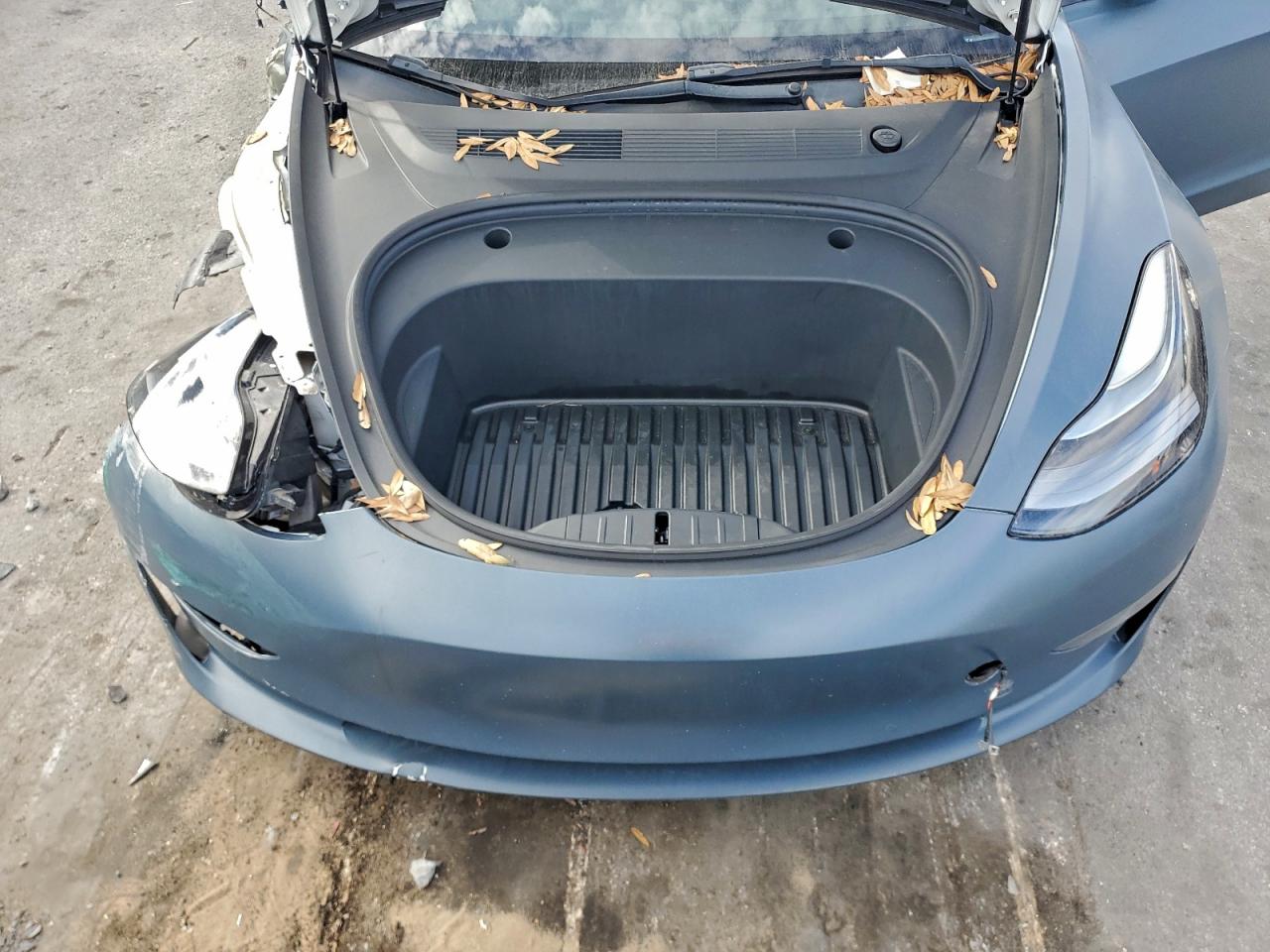 2021 TESLA MODEL 3 photo 11