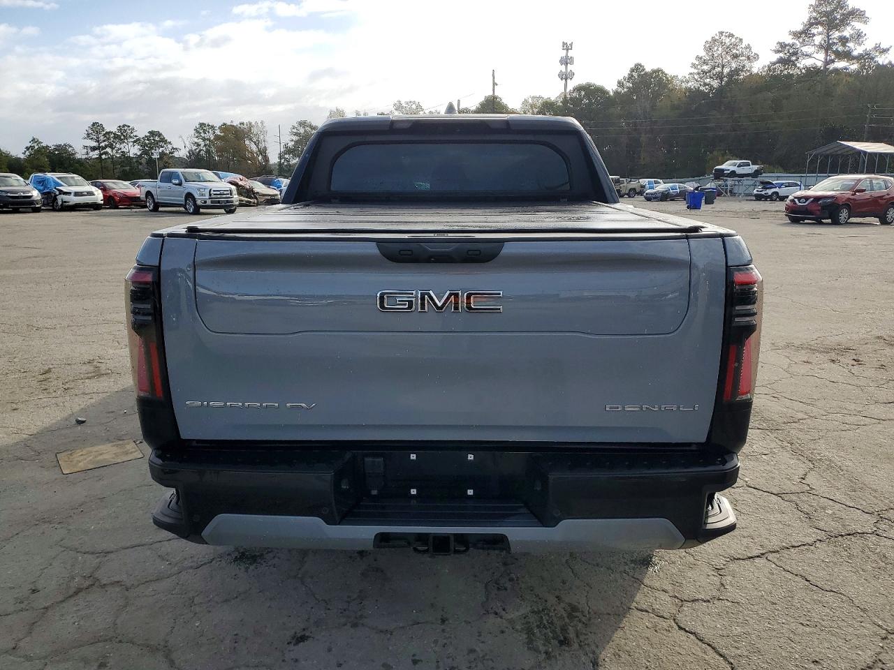 2025 GMC SIERRA DENALI photo 6