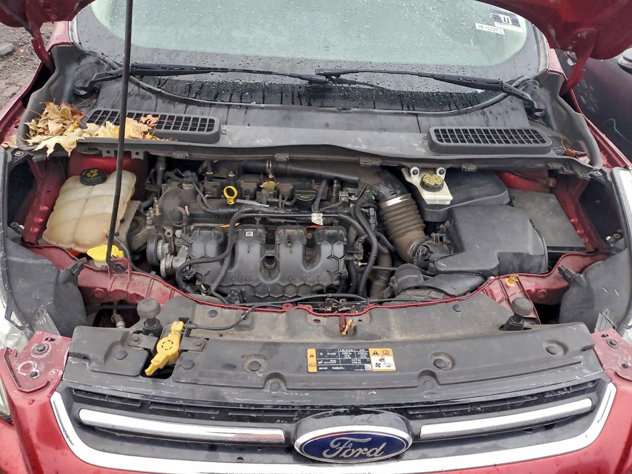 2014 FORD ESCAPE TITANIUM photo 12