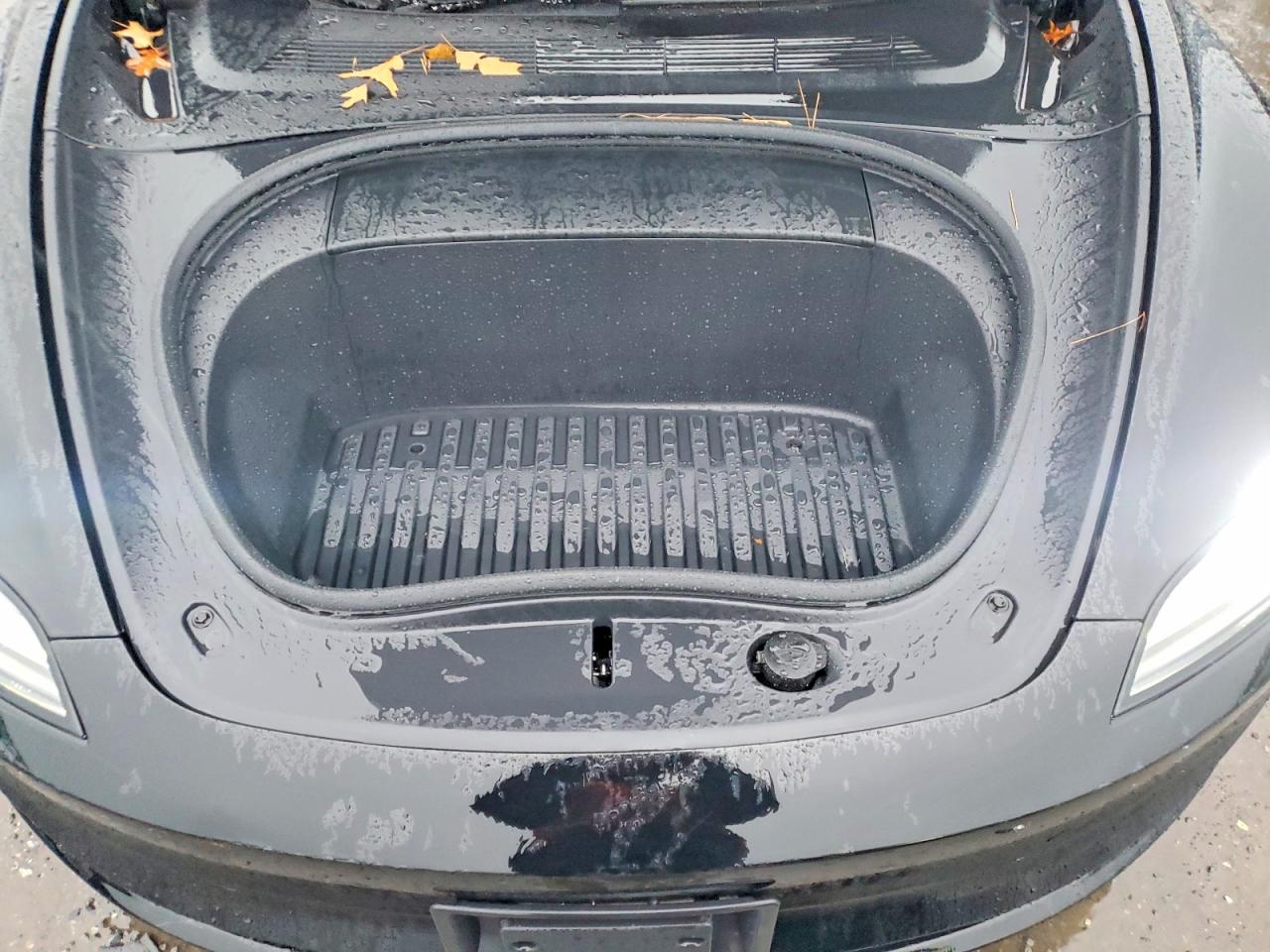2024 TESLA MODEL 3 photo 11