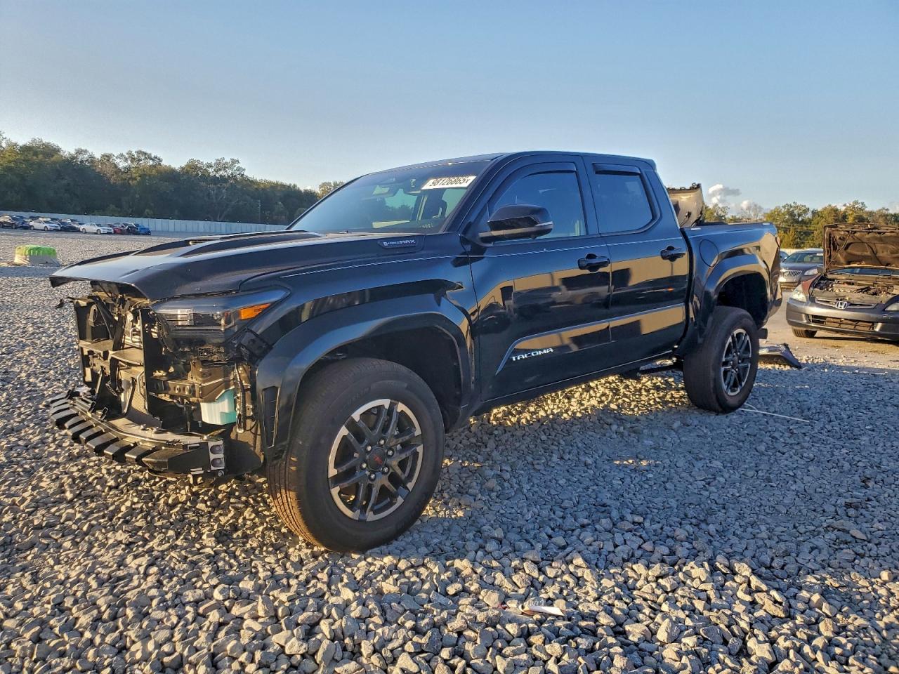 2025 TOYOTA TACOMA