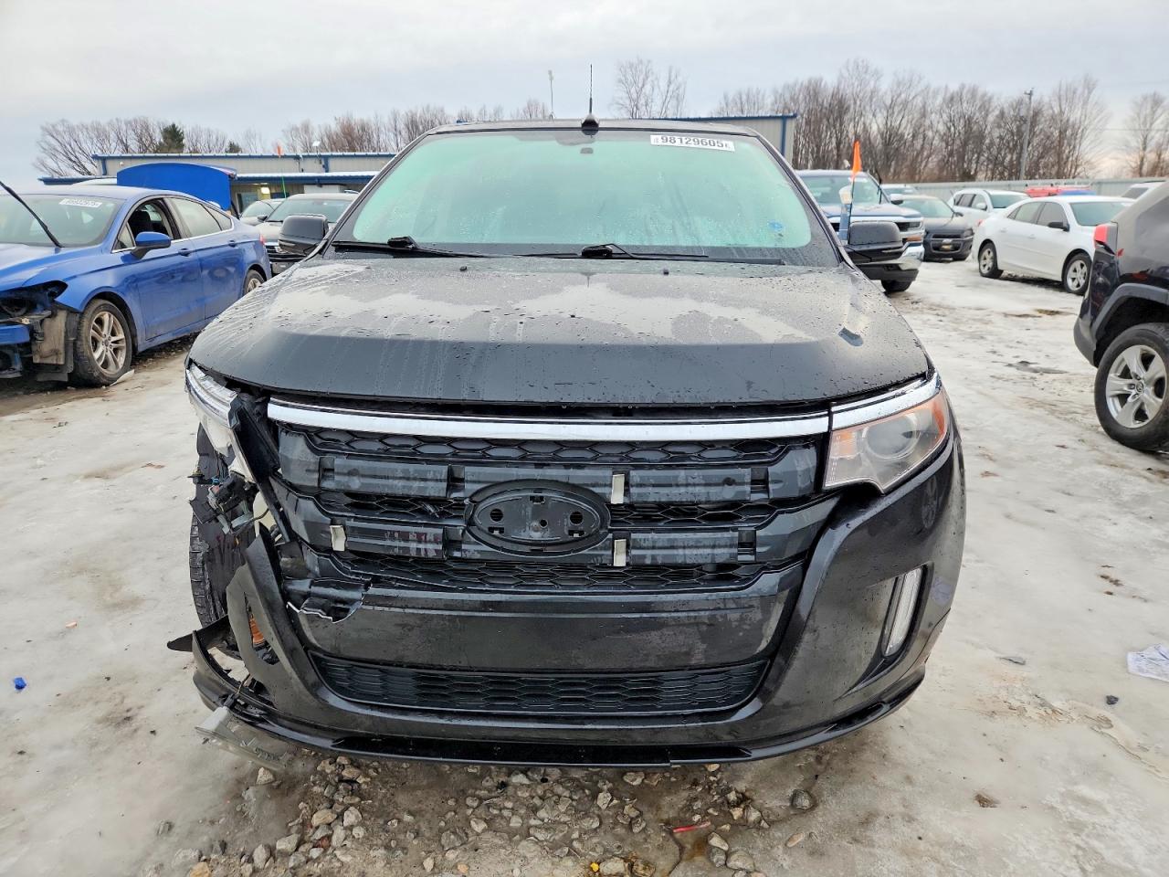 2013 FORD EDGE SPORT photo 5