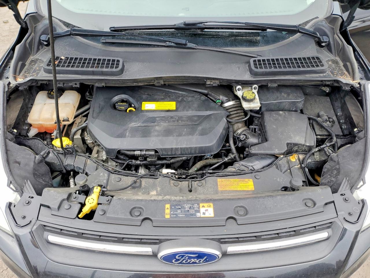 2015 FORD ESCAPE SE photo 12