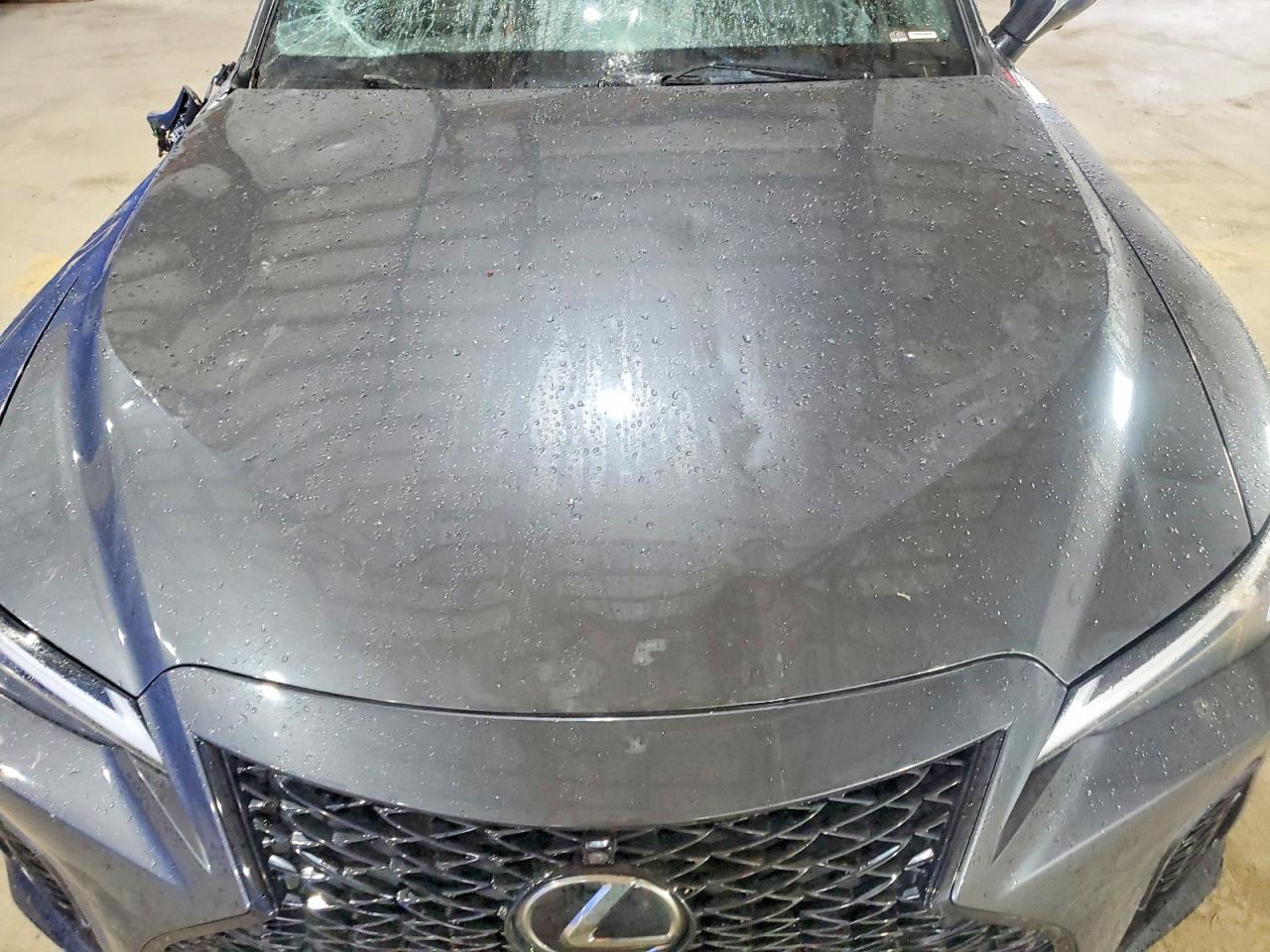 2021 LEXUS IS 350 F SPORT photo 11