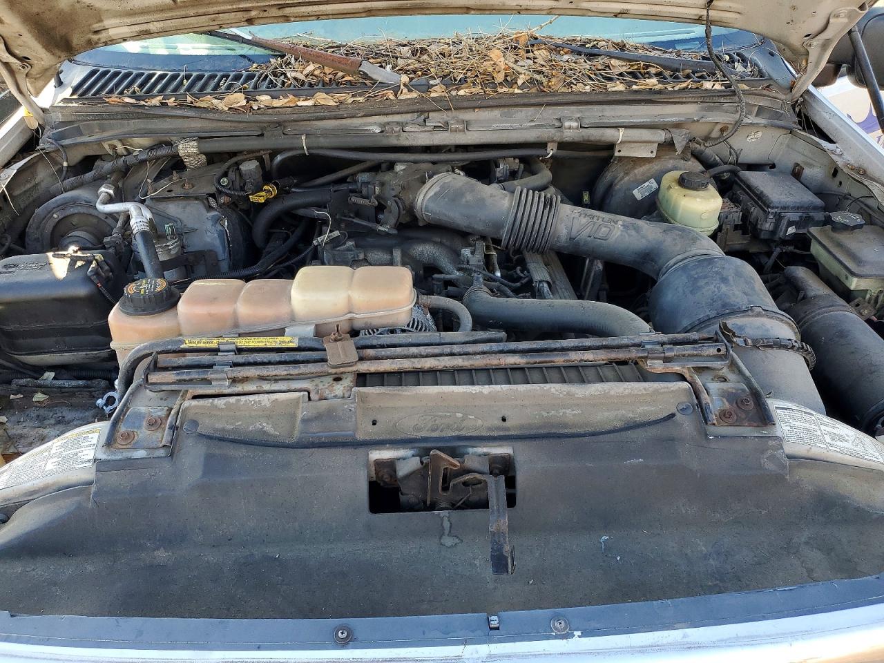 1999 FORD F250 SUPER DUTY photo 11