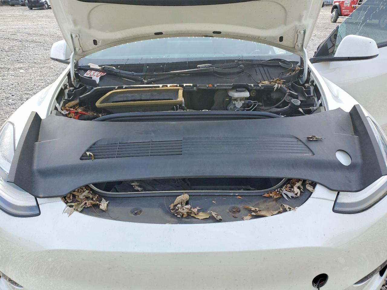 2021 TESLA MODEL Y photo 11