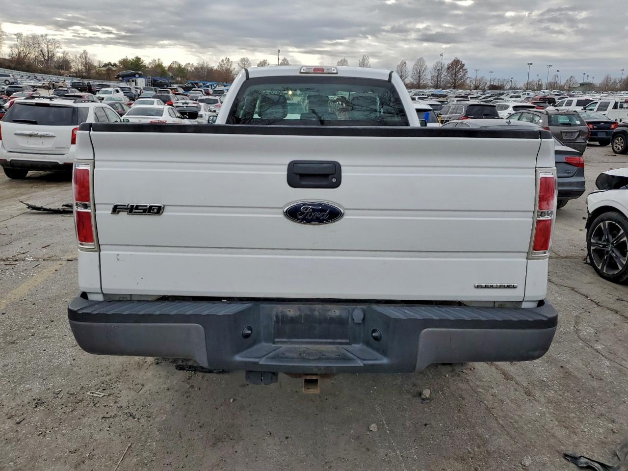 2013 FORD F150 photo 6