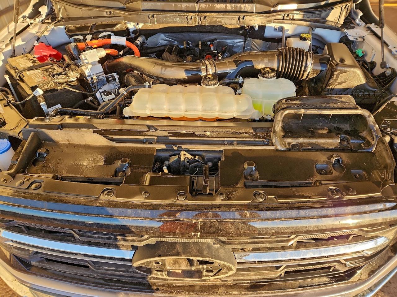2024 FORD F150 XLT photo 11