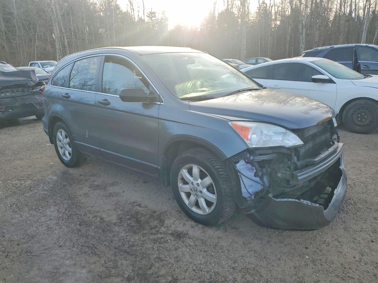 2010 HONDA CR-V LX photo 4