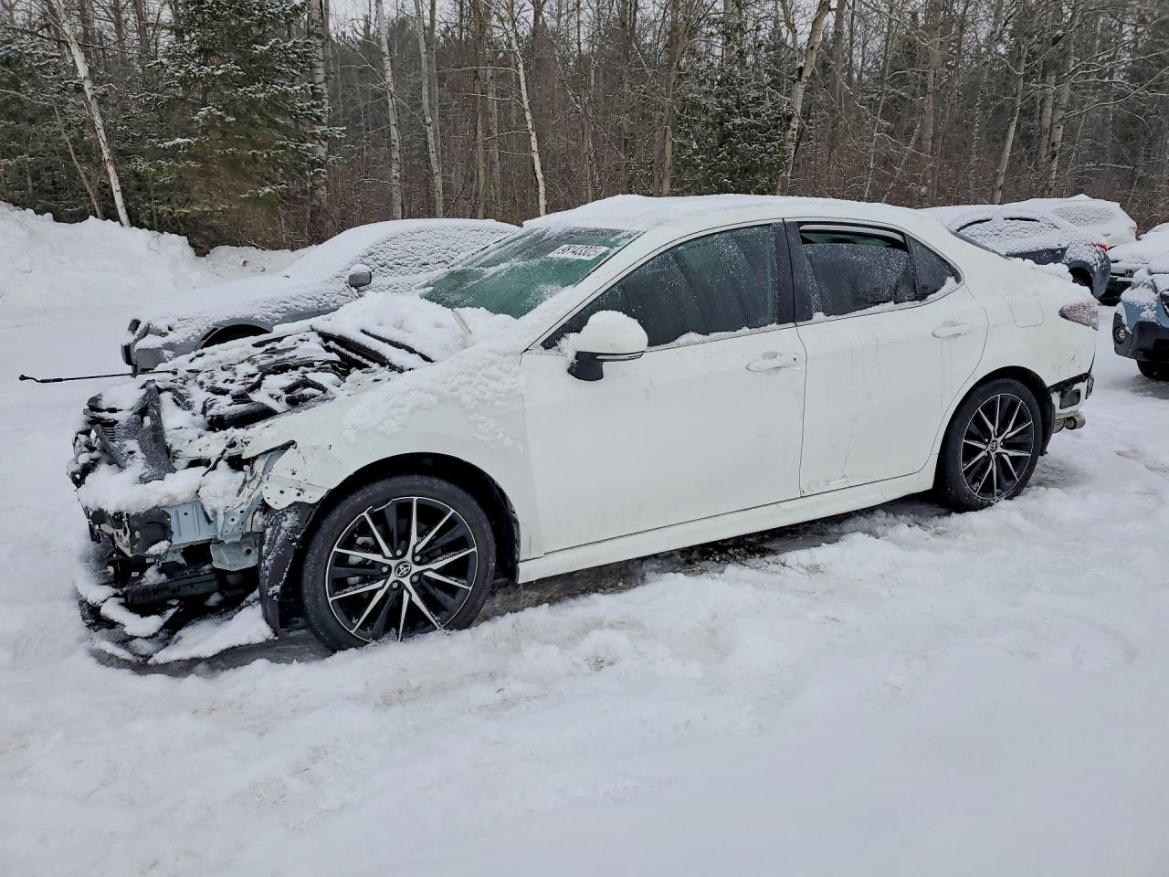 2024 TOYOTA CAMRY