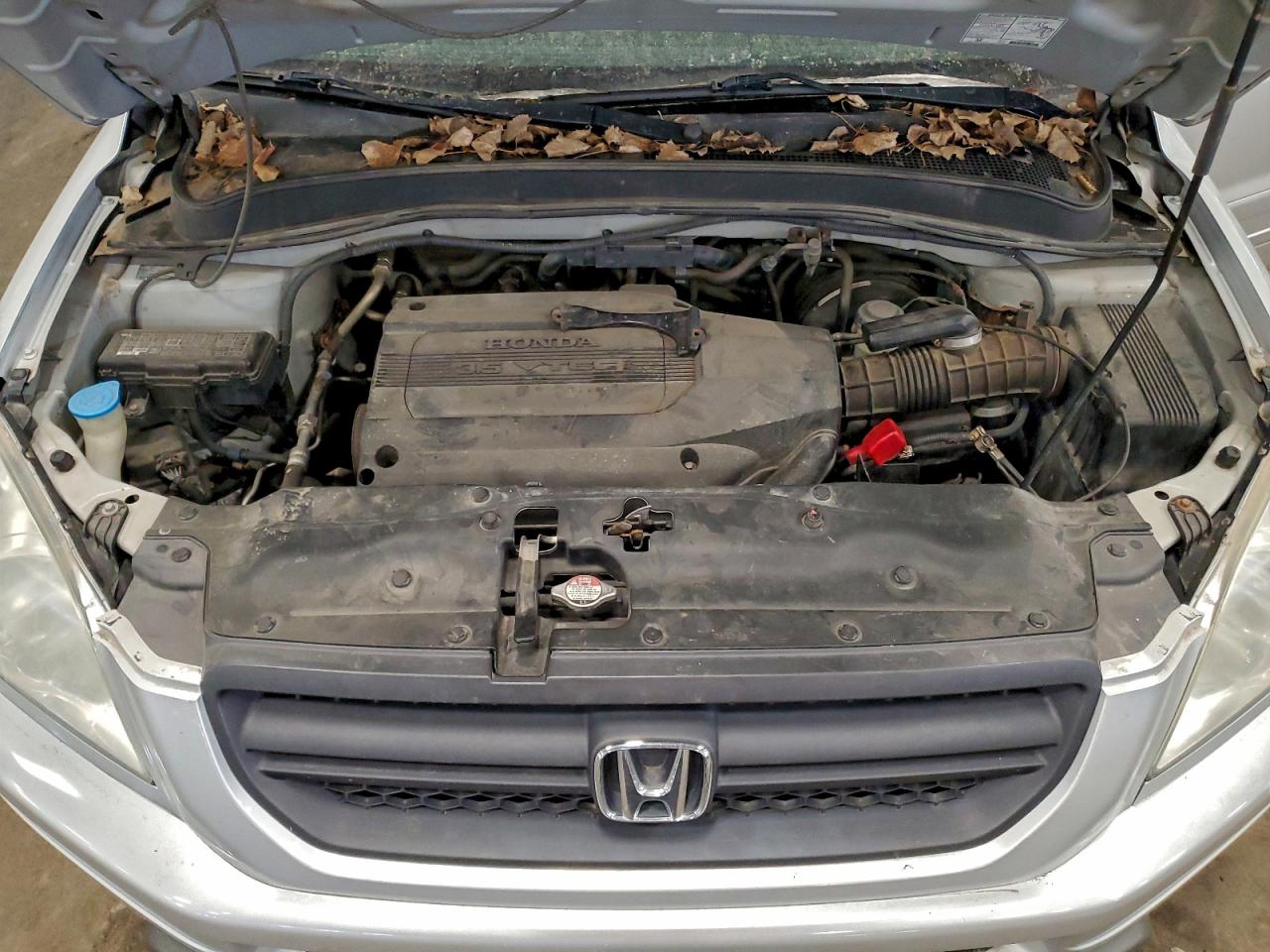 2004 HONDA PILOT EXL photo 12