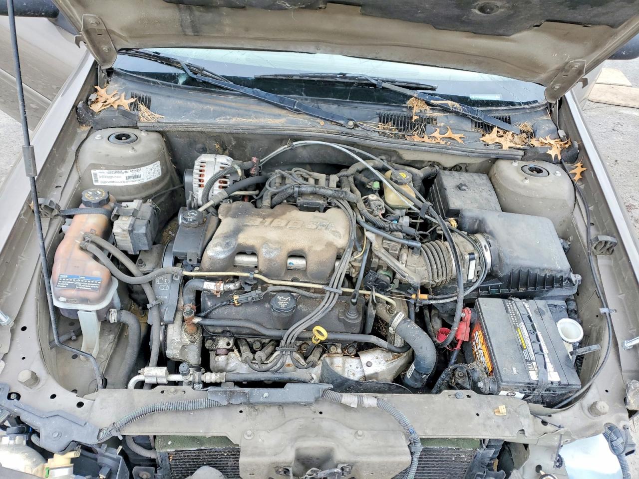 2002 CHEVROLET MALIBU photo 11