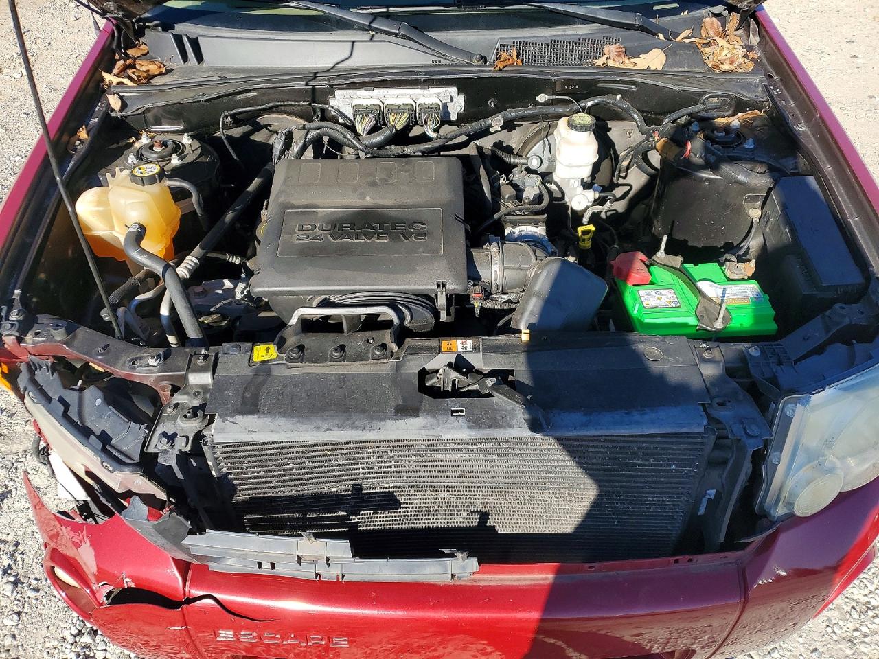 2011 FORD ESCAPE XLT photo 12
