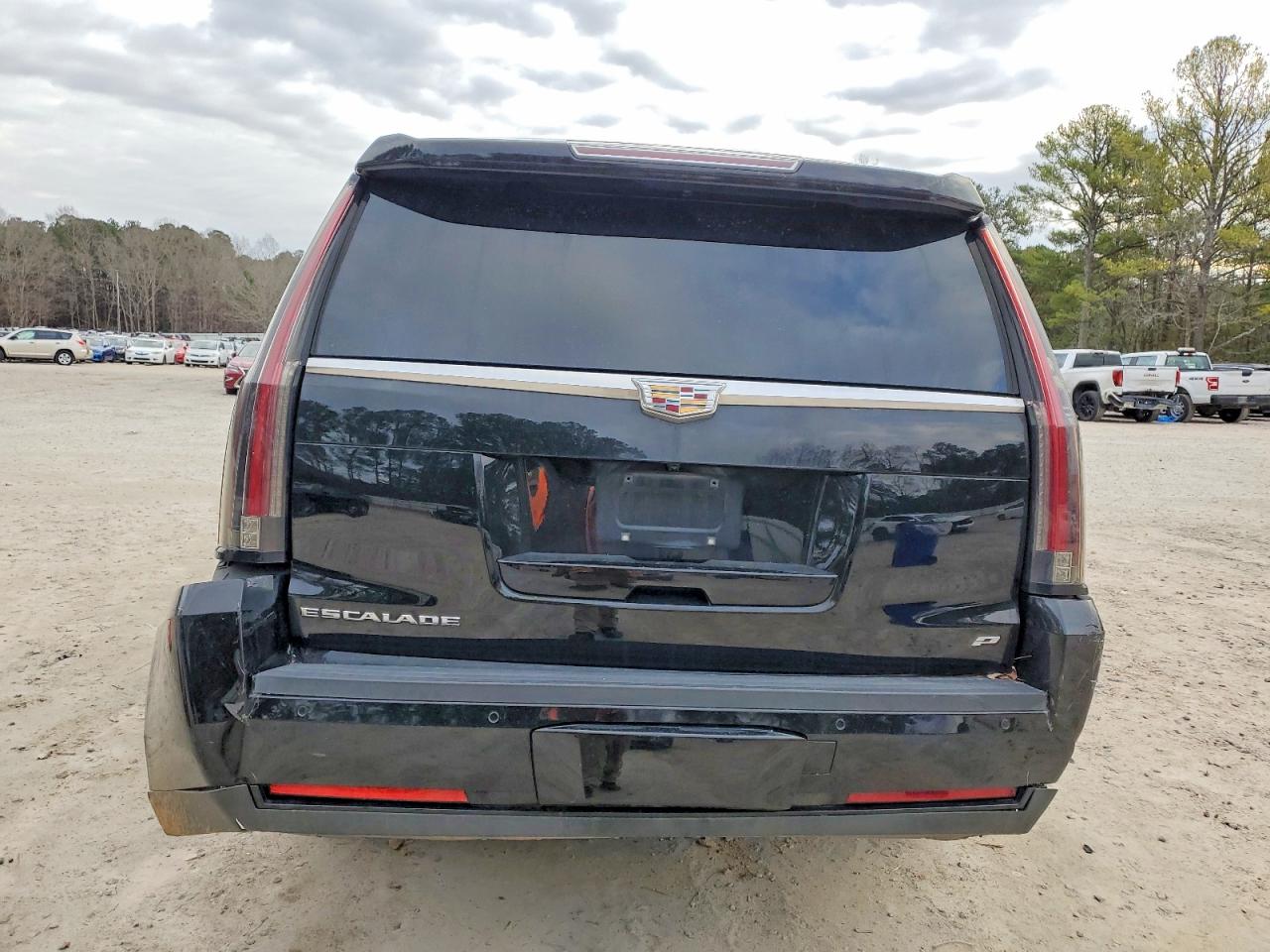 2015 CADILLAC ESCALADE ESV PLATINUM photo 6