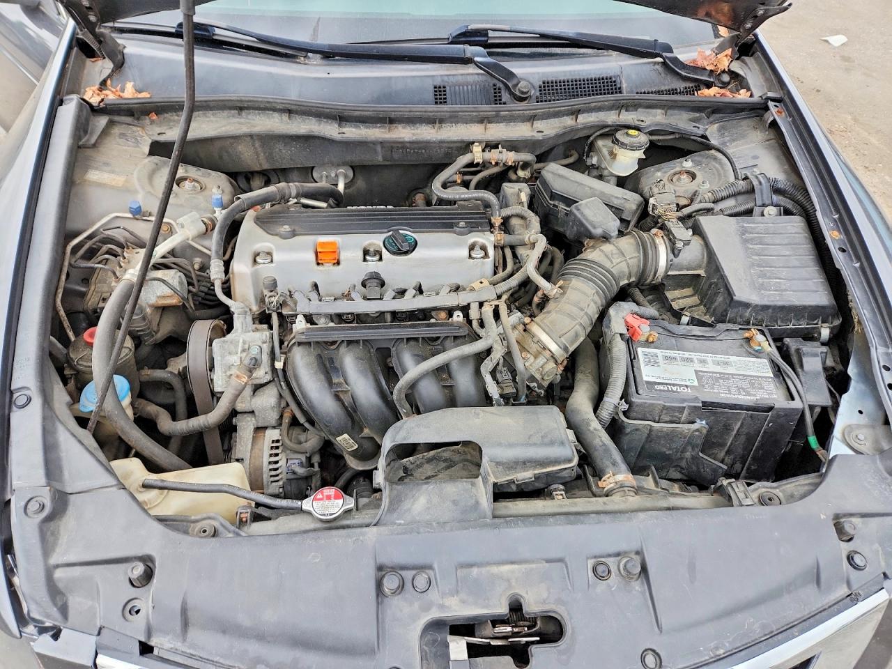 2010 HONDA ACCORD LXP photo 11